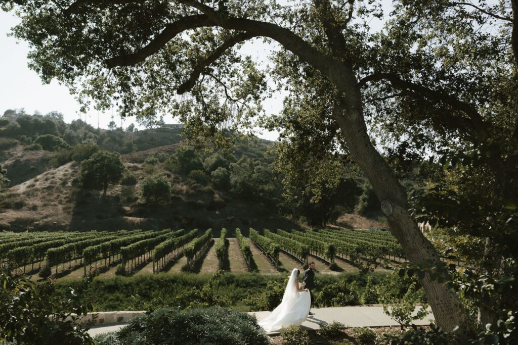 Couple portraits among vineyard rows at Monserate Winery Fallbrook